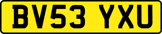 BV53YXU