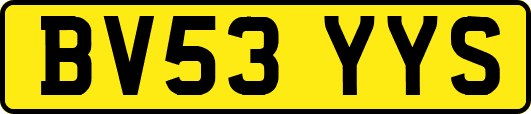 BV53YYS