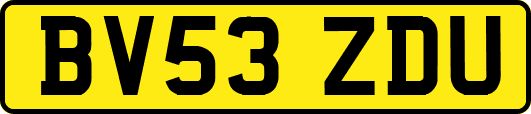 BV53ZDU