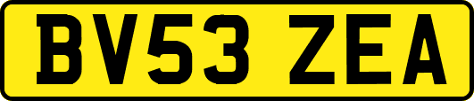 BV53ZEA