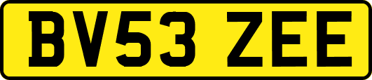 BV53ZEE
