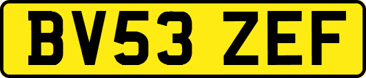 BV53ZEF
