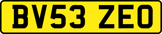 BV53ZEO