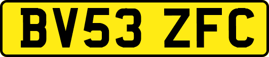 BV53ZFC