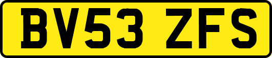BV53ZFS