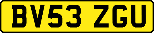 BV53ZGU
