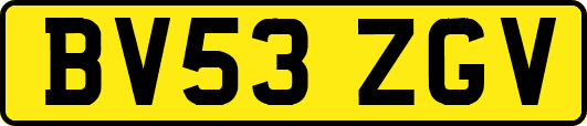 BV53ZGV