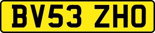 BV53ZHO