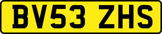 BV53ZHS