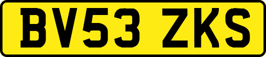 BV53ZKS