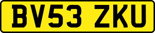 BV53ZKU