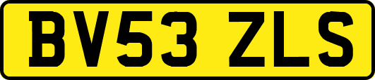 BV53ZLS