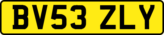 BV53ZLY