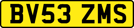 BV53ZMS