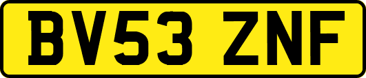 BV53ZNF