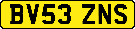 BV53ZNS