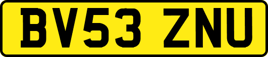 BV53ZNU