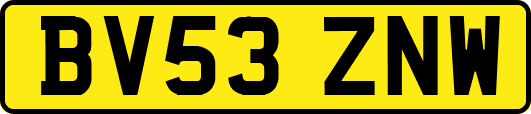 BV53ZNW
