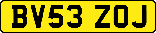 BV53ZOJ