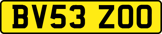BV53ZOO