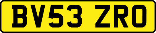 BV53ZRO