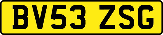 BV53ZSG