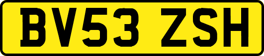 BV53ZSH