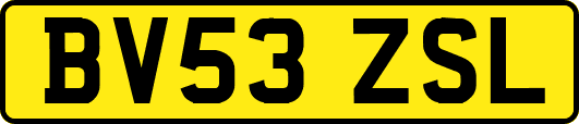 BV53ZSL