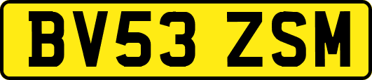 BV53ZSM