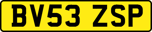 BV53ZSP