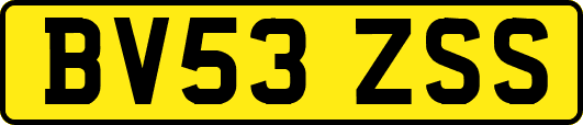 BV53ZSS