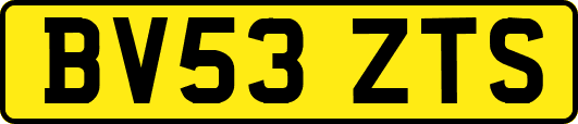 BV53ZTS