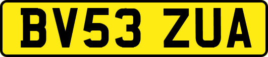 BV53ZUA