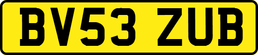 BV53ZUB