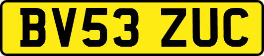 BV53ZUC