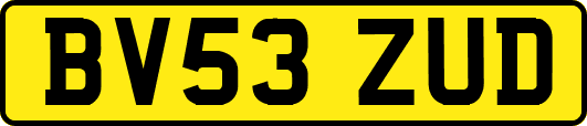 BV53ZUD