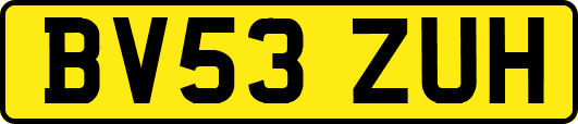 BV53ZUH
