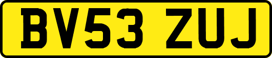 BV53ZUJ
