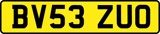 BV53ZUO