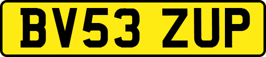 BV53ZUP