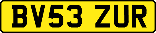BV53ZUR
