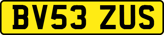 BV53ZUS