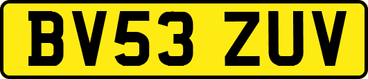 BV53ZUV