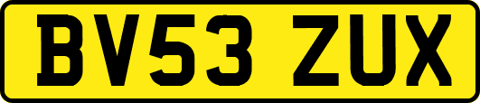 BV53ZUX