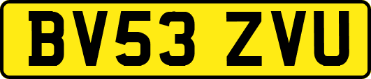 BV53ZVU