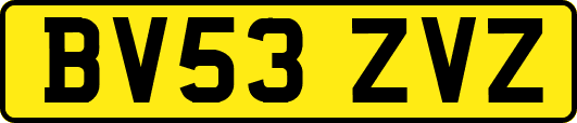 BV53ZVZ
