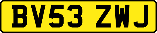BV53ZWJ