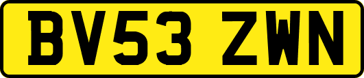 BV53ZWN