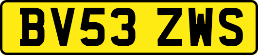 BV53ZWS
