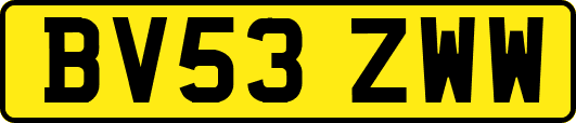 BV53ZWW